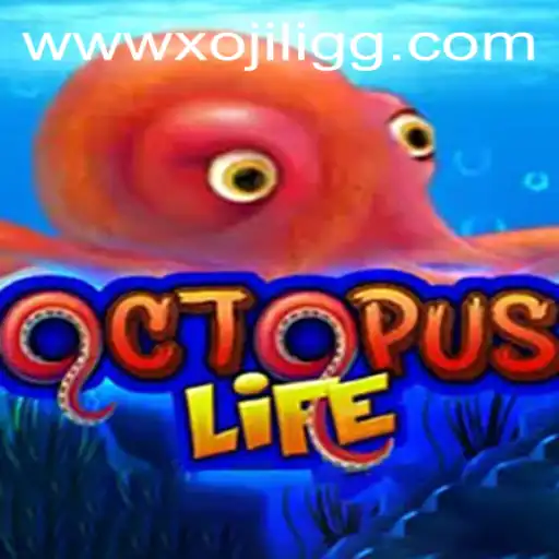 Exploring the Alluring World of OctopusLife
