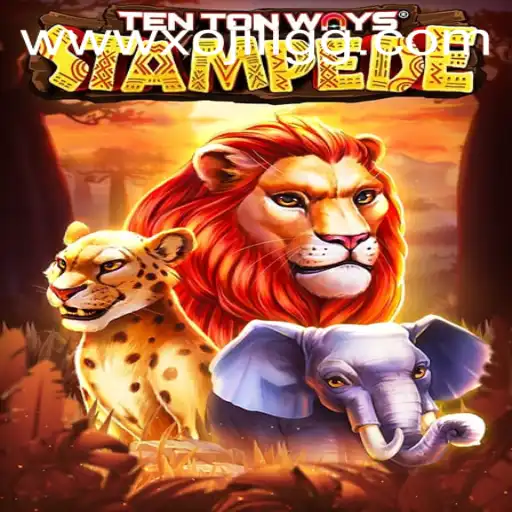 Explore the Exciting World of TenTonWaysStampede